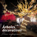 ÁRBOL PARÍAN - Image 3