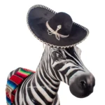 BURRO CEBRA - Image 2