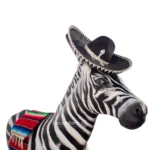 BURRO CEBRA - Image 5