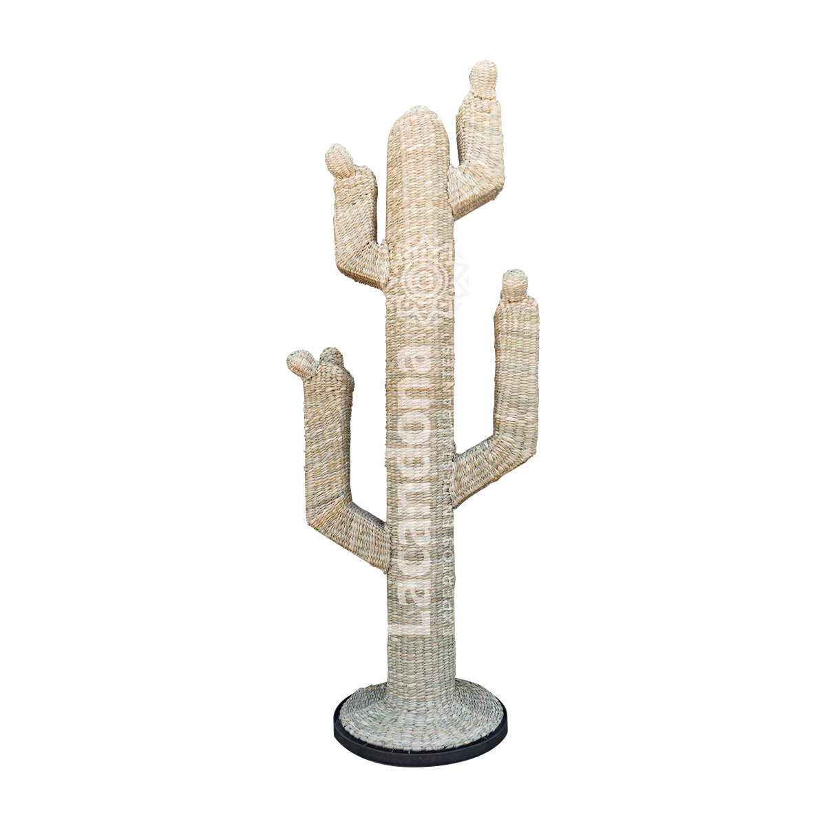 Cactus Decorativo para Restaurante Mexicano Cactus Decorativo para Restaurante Mexicano